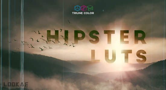 35组时髦文艺青年电影LUTS调色预设 Hipster LUTs-精品资源站