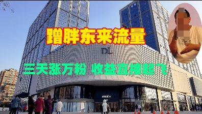 蹭胖东来流量，三天涨万粉，收益直接起飞-精品资源站