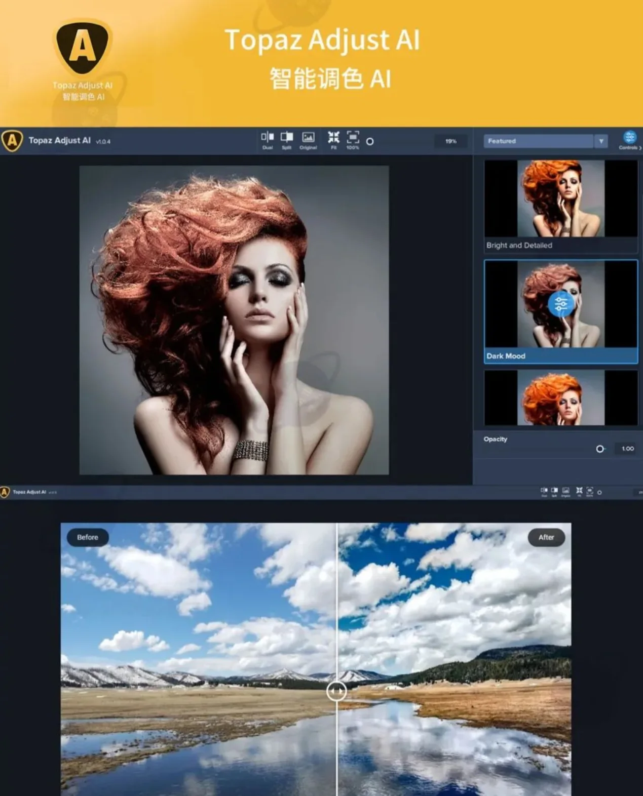 最新Topaz Ai全套汉化软件(8套全)全家桶【WIN+MAC】