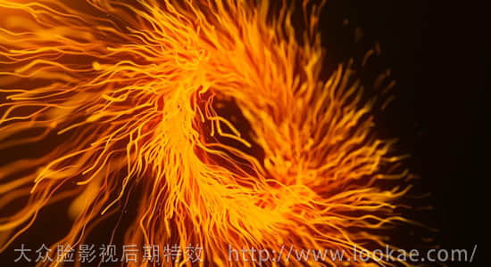 AE教程：使用 Particular 插件制作精美旋转粒子放射动画-精品资源站