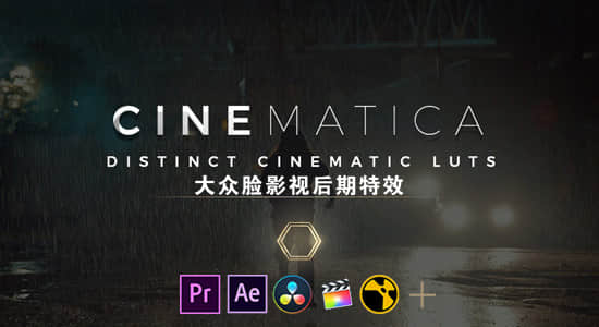 50种独特影视大片LUTS调色预设 Cinematica  LUTs（AE/PR/FCPX/PS/达芬奇/OFX）-精品资源站