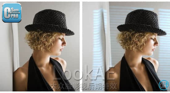 AE/PR/VEGAS/NUKE/OFX DFT视觉特效合集插件 Digital Film Tools Composite Suite Pro 2.0v7 CE-精品资源站