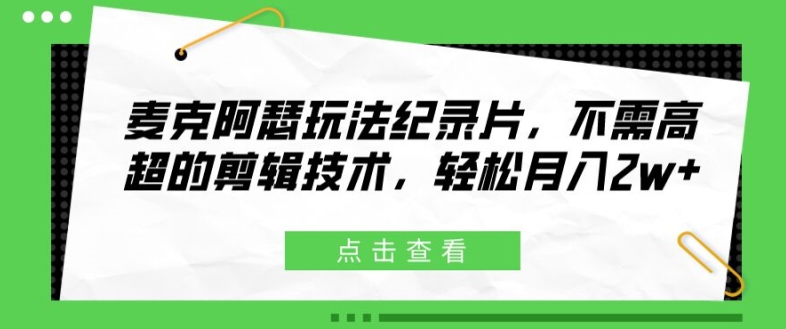 麦克阿瑟玩法纪录片，不需高超的剪辑技术，轻松月入2w+【揭秘】-精品资源站