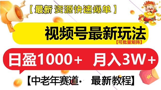 （13530期）视频号最新玩法 中老年赛道 月入3W+-精品资源站
