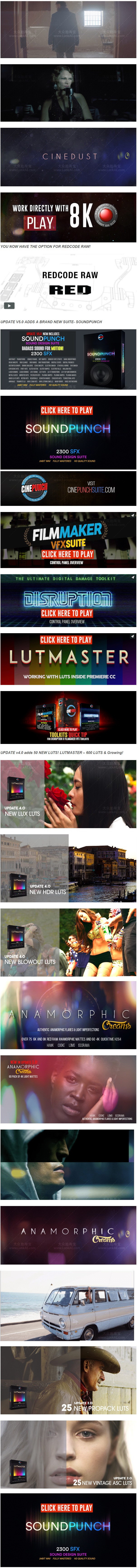 AE/PR/FCPX/达芬奇/PS电影特效LUTs调色视频素材音效预设套装 CINEPUNCH V10 Win/Mac