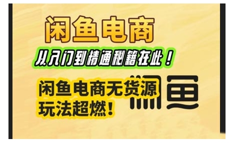 闲鱼电商实战课，从入门到精通秘籍在此，闲鱼电商无货源玩法超燃!-精品资源站