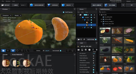 E3D 模型包：19种三维水果蔬菜模型+贴图包 Fruit Model E3D & Cinema 4D-精品资源站