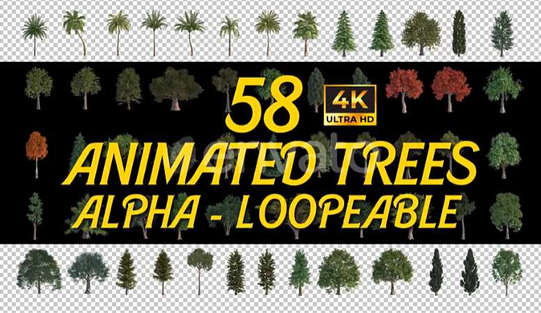 AE模板 58个植物树木循环动画视频素材 Animated Trees Alpha Loop Pack 4K