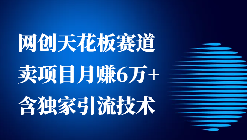 网创天花板赛道，卖项目月赚6万+，含独家引流技术(共26节课)-精品资源站