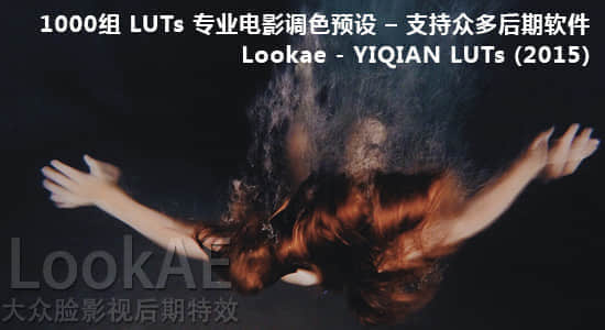 1000组 LUTs 专业电影调色预设 – 多软件支持 Lookae – YIQIAN LUTs (2015)-精品资源站