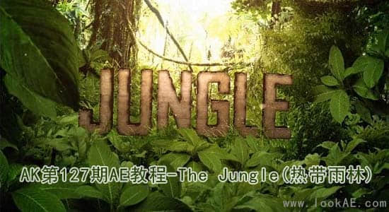 AK第127期AE教程-The Jungle(热带雨林)-精品资源站