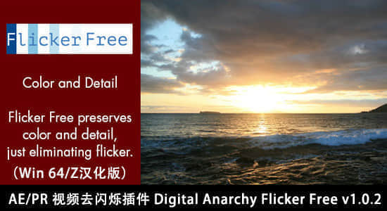 AE/PR 视频去闪烁插件 Digital Anarchy Flicker Free v1.1.3 CE-精品资源站