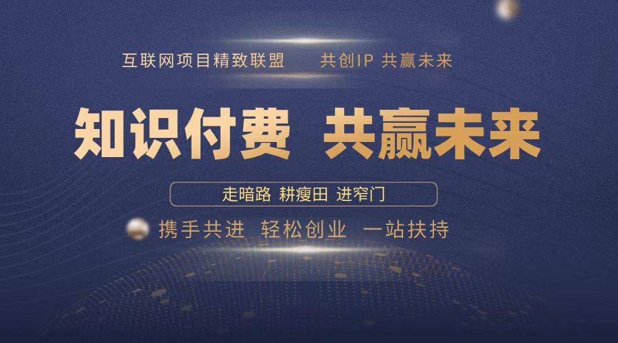 2025年 如何通过 “知识付费” 卖项目月入十万、年入百万，布局2025与…-精品资源站