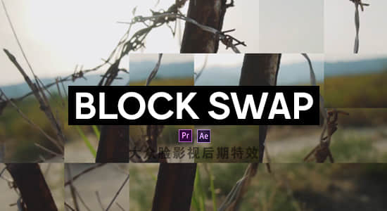 中文汉化AE/PR插件-随机生成像素块视觉特效 Block Swap v1.0 Win-精品资源站