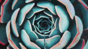 AE模板-1400种摄像机推拉缩放切割干扰破损图形水墨炫光视频转场