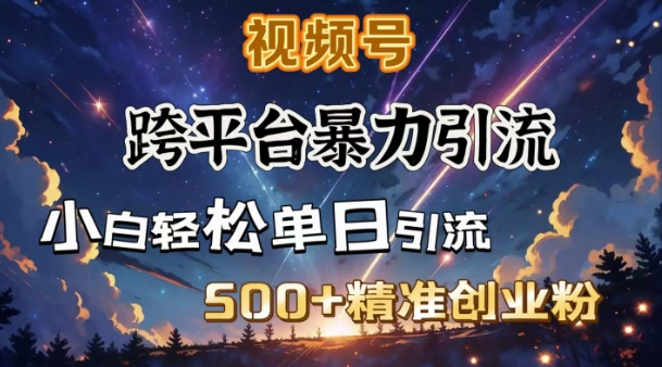 跨平台暴力引流，私域完美闭环，日引500+精准创业粉-精品资源站