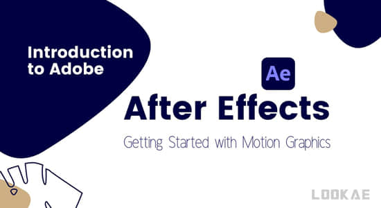 AE教程-基础入门新手学习课程 Introduction to AE: Getting started with Motion Graphicss-精品资源站