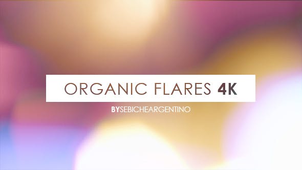 视频素材-16个动感闪烁炫光动画4K视频素材 Organic Flares-精品资源站