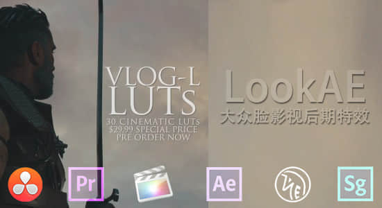 30组 LUTs 专业电影调色预设 GH4 VLog-L LUTs-精品资源站