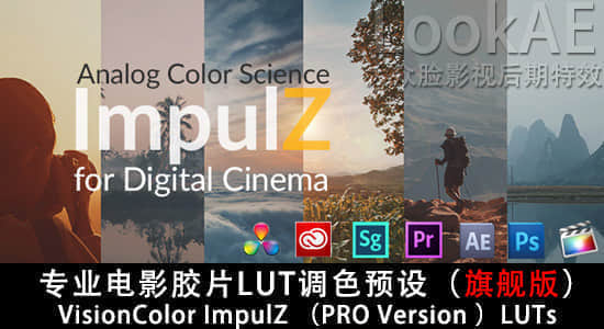 专业电影胶片LUT调色预设（旗舰版）VisionColor ImpulZ LUTs Ultimate Version-精品资源站