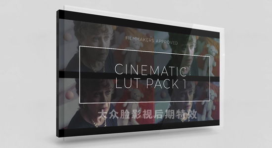 13个电影级LUTS调色预设 Vamify Cinematic Lut Pack-精品资源站
