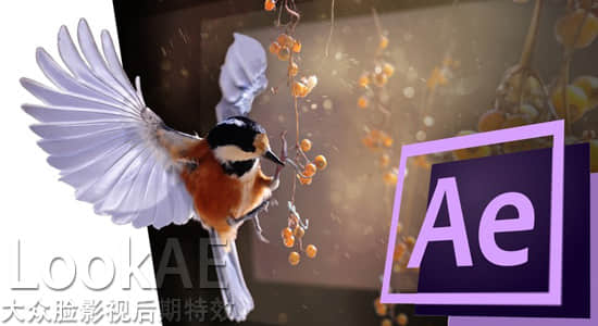 AE教程：将二维平面图片制作成三维动画效果 Udemy – Turn a 2d photo into a 3d animation-精品资源站