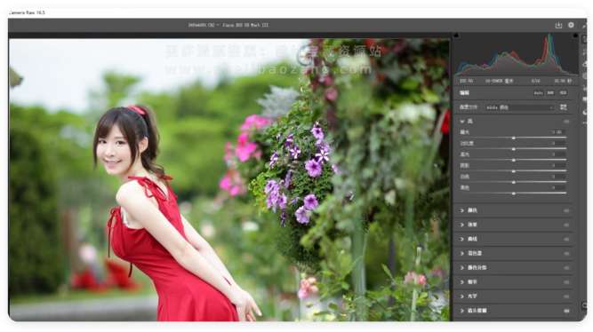 ACR滤镜PS增效工具 Camera Raw 16.5支持Win/Mac