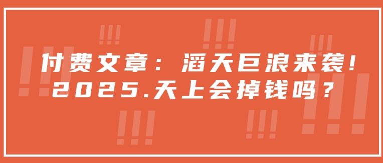 付费文章：滔天巨浪来袭！2025天上会掉钱吗？-精品资源站