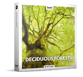 Deciduous Forests 大自然雨林森林鸟鸣阔叶林立体无损音效