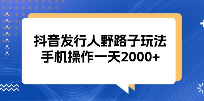 （13220期）抖音发行人野路子玩法，手机操作一天2000+-精品资源站