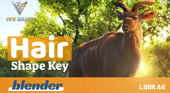 Blender插件-真实毛发生成工具 Hairshapekey V5.2-精品资源站