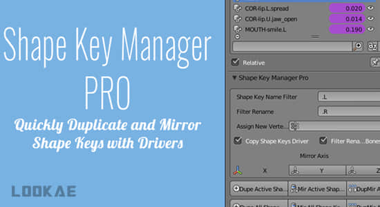 形态键管理Blender插件 Shape Key Manager Pro V1.4.2-精品资源站