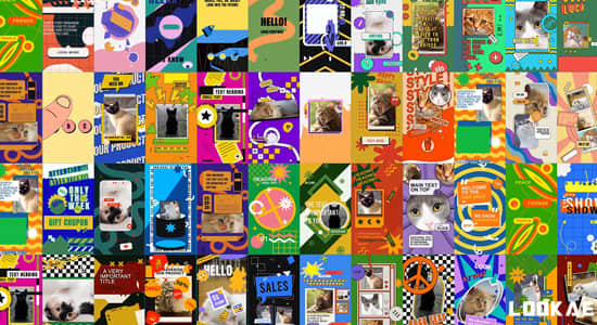 AE模板-44种现代时尚竖屏卡通图形宣传包装动画 Trendy Vertical Stories Package-精品资源站