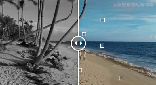AE/PR插件-人工智能画面着色无损放大HDR增强 Neural Enhancement Suite v1.5.8 Win-精品资源站