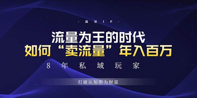 （13433期）未来如何通过“卖流量”年入百万，跨越一切周期绝对蓝海项目-精品资源站