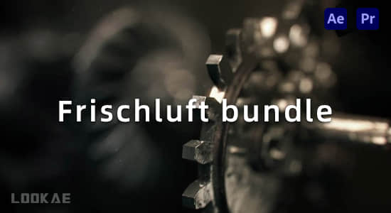中文汉化AE/PR插件-镜头景深虚焦模糊曲线调色发光特效合集 Frischluft bundle 2023.6 CE Win-精品资源站