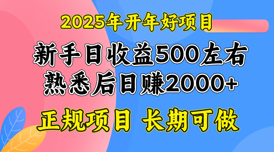 2025开年好项目，单号日收益2000左右-精品资源站