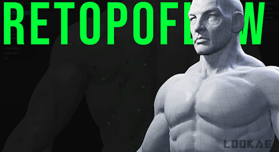 RetopoFlow V3.4.3 三维模型拓扑Blender插件-精品资源站
