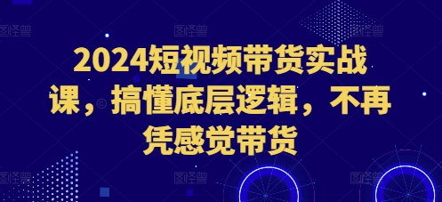 2024短视频带货实战课，搞懂底层逻辑，不再凭感觉带货-精品资源站