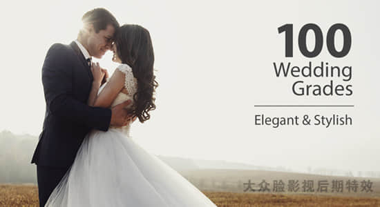 100个MV婚礼电影短片LUTS调色预设 Wedding Color Corrections-精品资源站