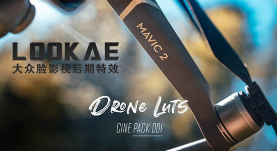 24组大疆航拍无人机视频调色LUTs预设（AE/PR/FCPX/PS/达芬奇/OFX）-精品资源站
