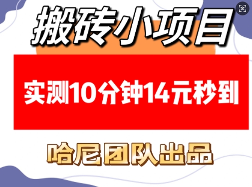 搬砖小项目，实测10分钟14元秒到，每天稳定几张(赠送必看稳定)-精品资源站