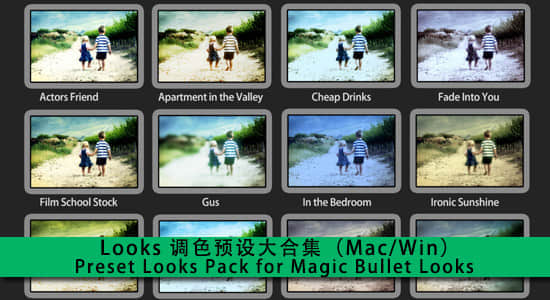 Looks 调色预设大合集（Mac/Win）Preset Looks Pack for Magic Bullet Looks-精品资源站