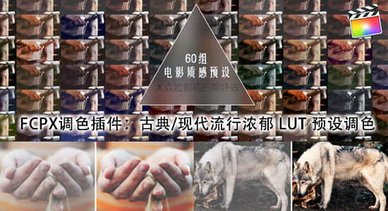 FCPX调色插件：60组古典/现代流行浓郁 LUT 预设调色 PFS – LUT Film-精品资源站