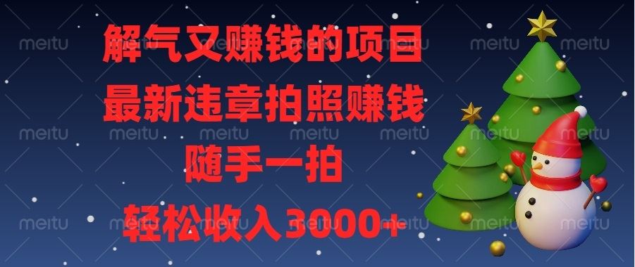 （13804期）解气又赚钱的项目，最新违章拍照赚钱，随手一拍，轻松收入3000+-精品资源站