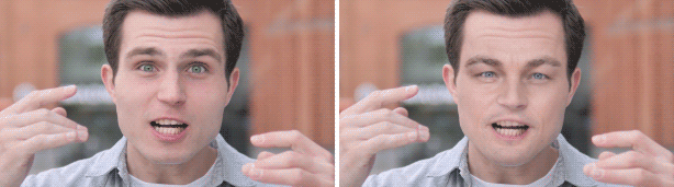 AE脚本-人脸面部追踪贴图表情化妆美颜丑化换脸锁定变形特效预设工具 AE Face Tools V4.1 版 + 使用教程