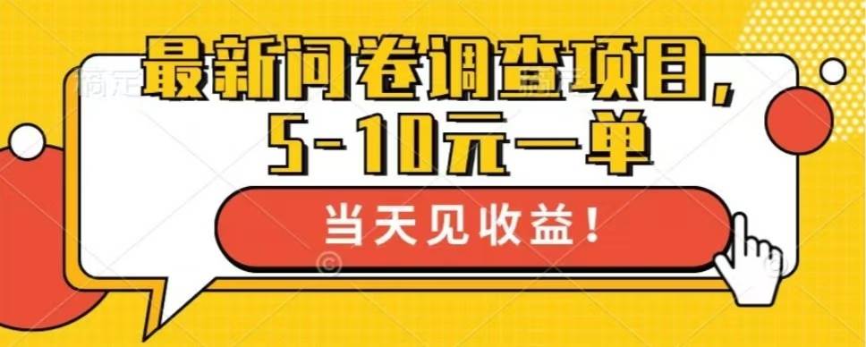 （13167期）最新问卷调查项目，单日零撸100＋-精品资源站