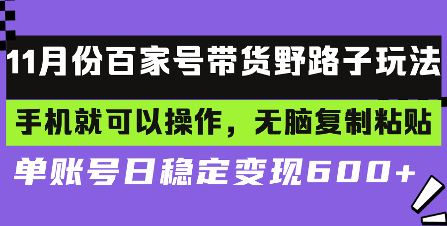 百家号带货野路子玩法 手机就可以操作，无脑复制粘贴 单账号日稳定变现…-精品资源站