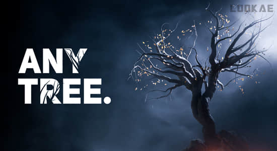 自定义植物形状外观Blender插件 Anytree v2.1.1 – Trees With Any Shape-精品资源站