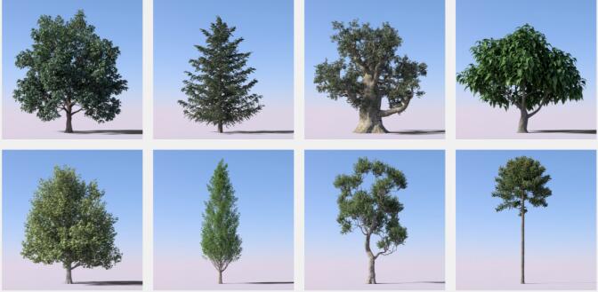 Forester v1.5.4 自然生长动画C4D插件-精品资源站